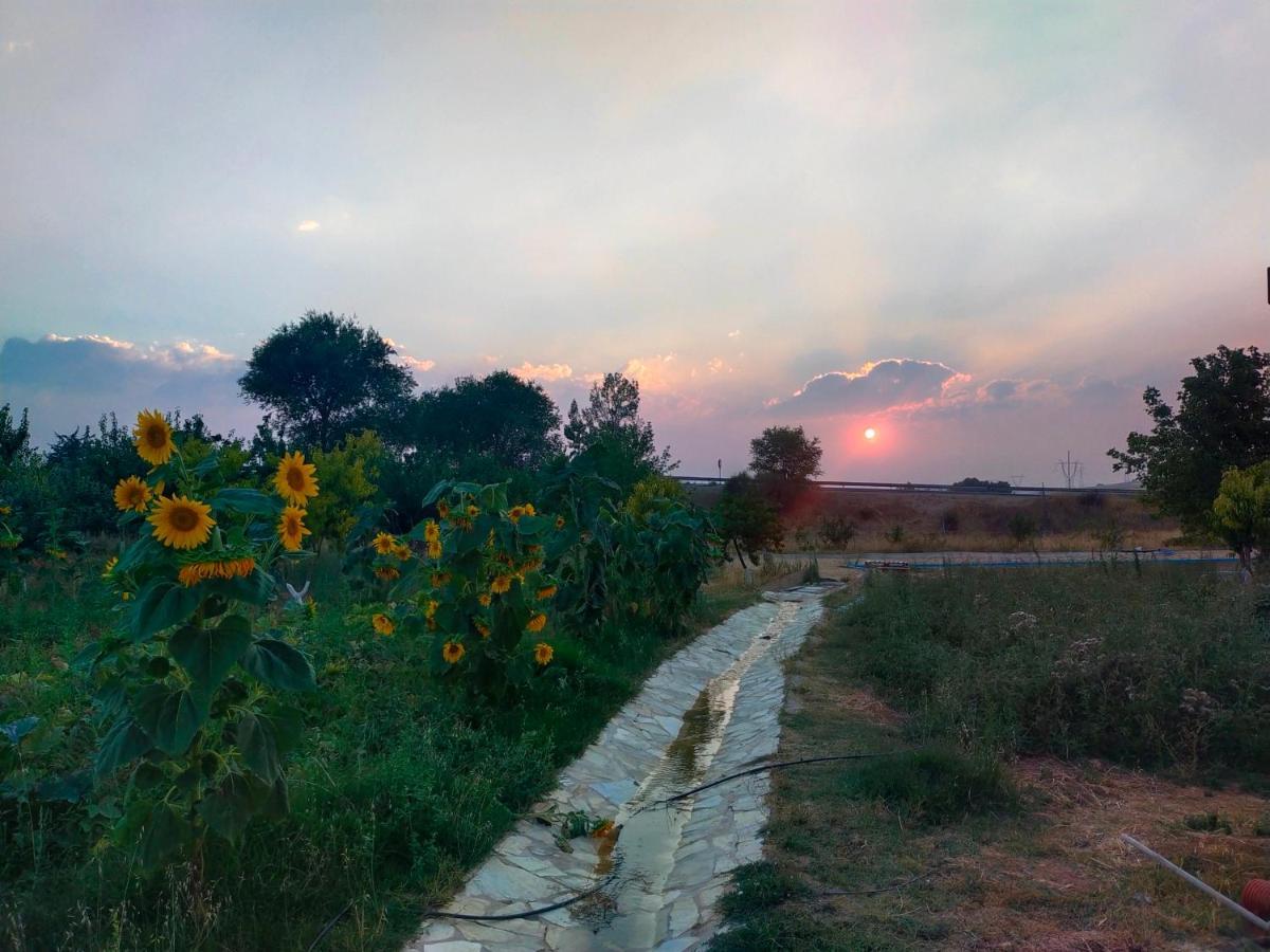 Era 124 Διαμέρισμα Zafra de Záncara Εξωτερικό φωτογραφία