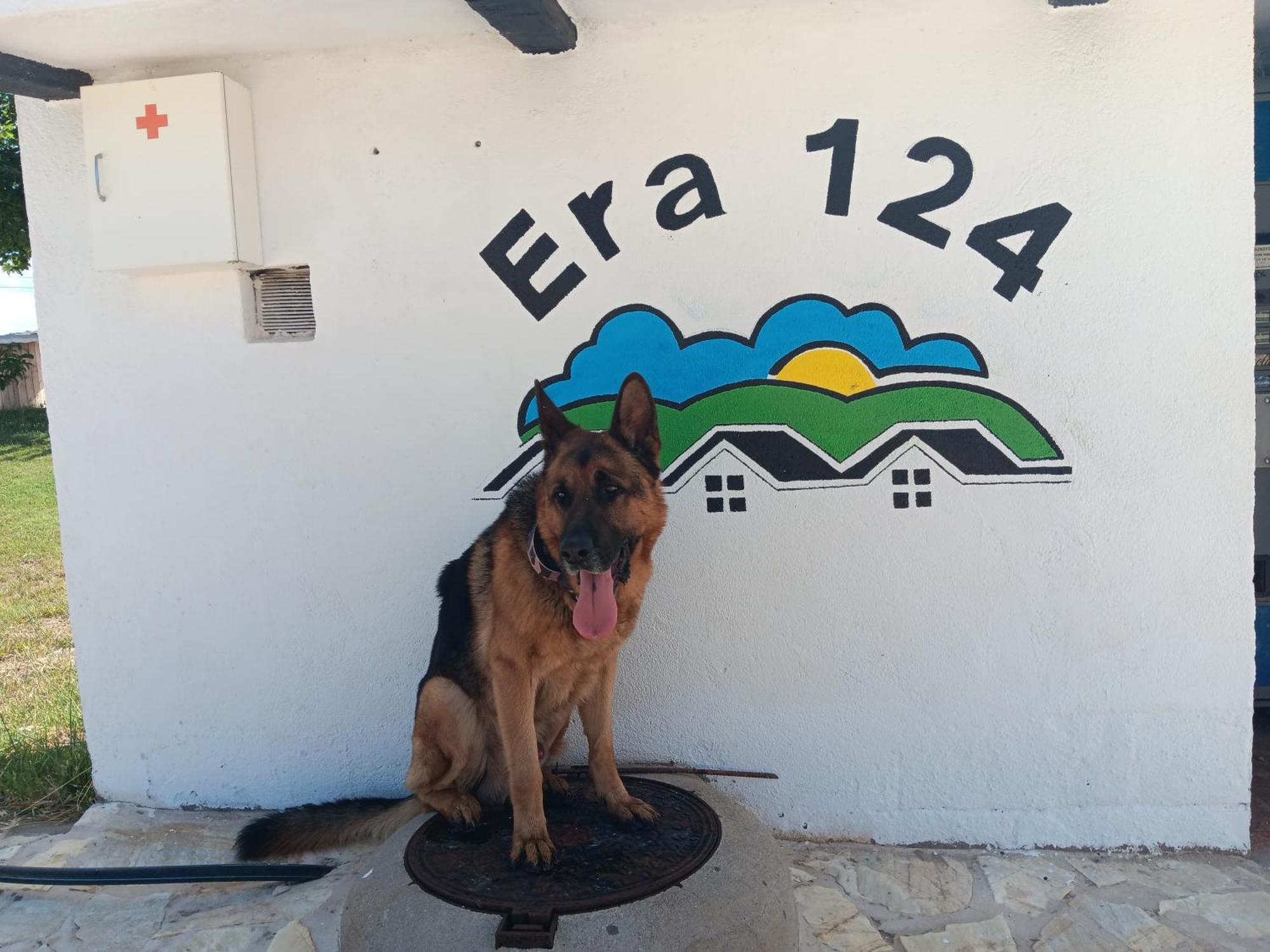 Era 124 Διαμέρισμα Zafra de Záncara Εξωτερικό φωτογραφία