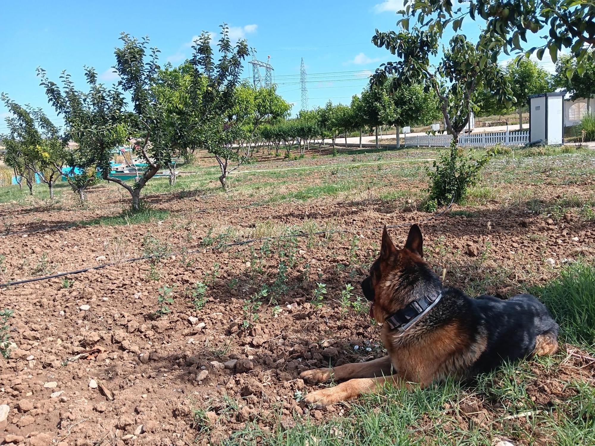 Era 124 Διαμέρισμα Zafra de Záncara Εξωτερικό φωτογραφία