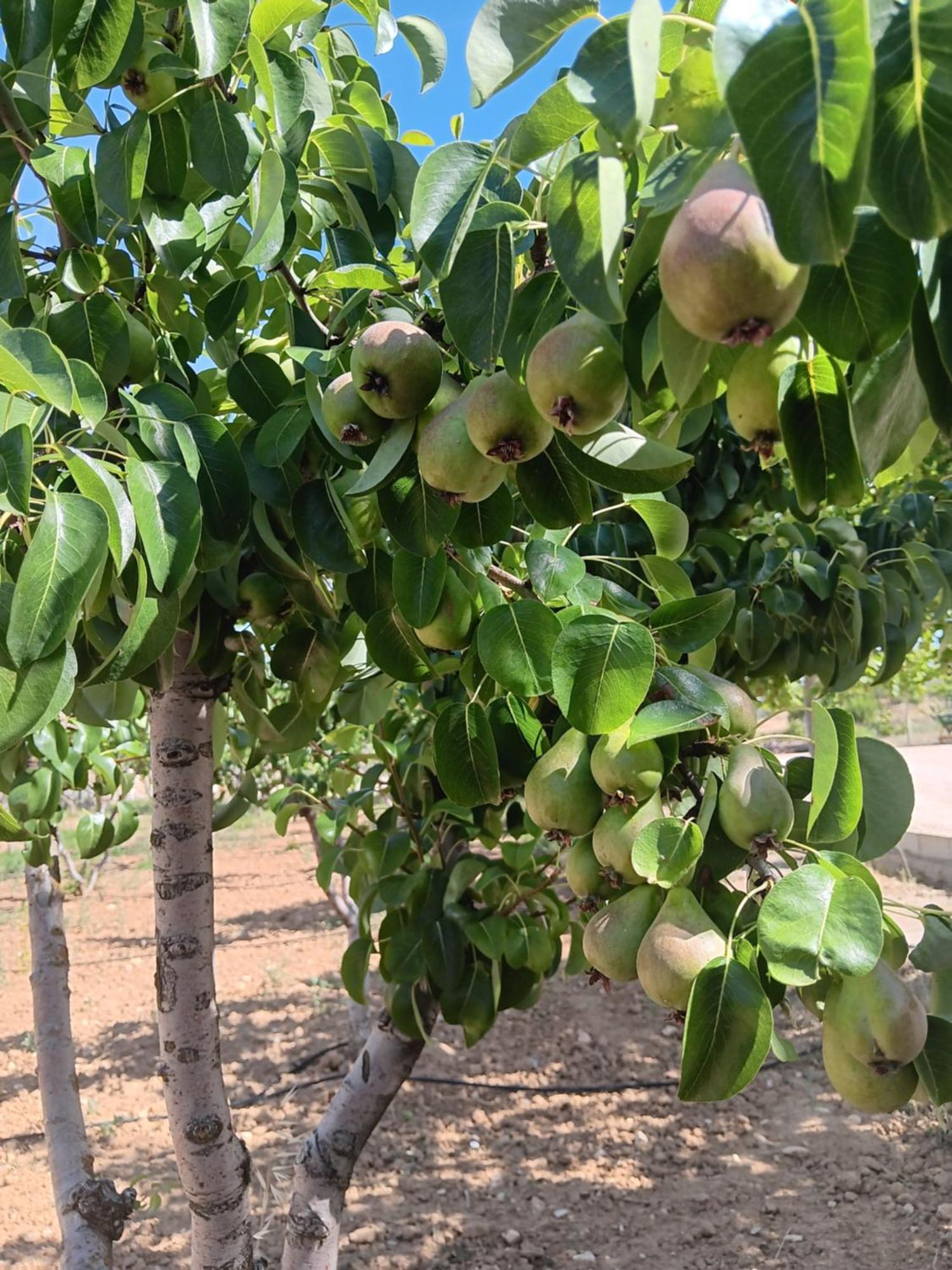 Era 124 Διαμέρισμα Zafra de Záncara Εξωτερικό φωτογραφία