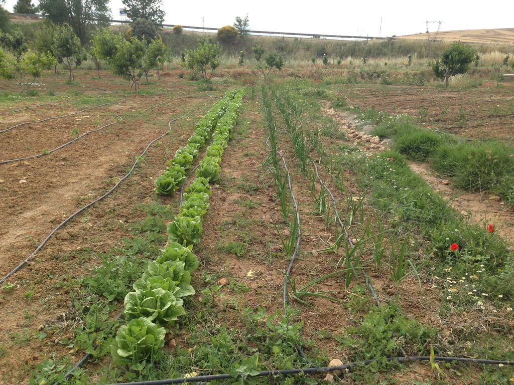 Era 124 Διαμέρισμα Zafra de Záncara Εξωτερικό φωτογραφία