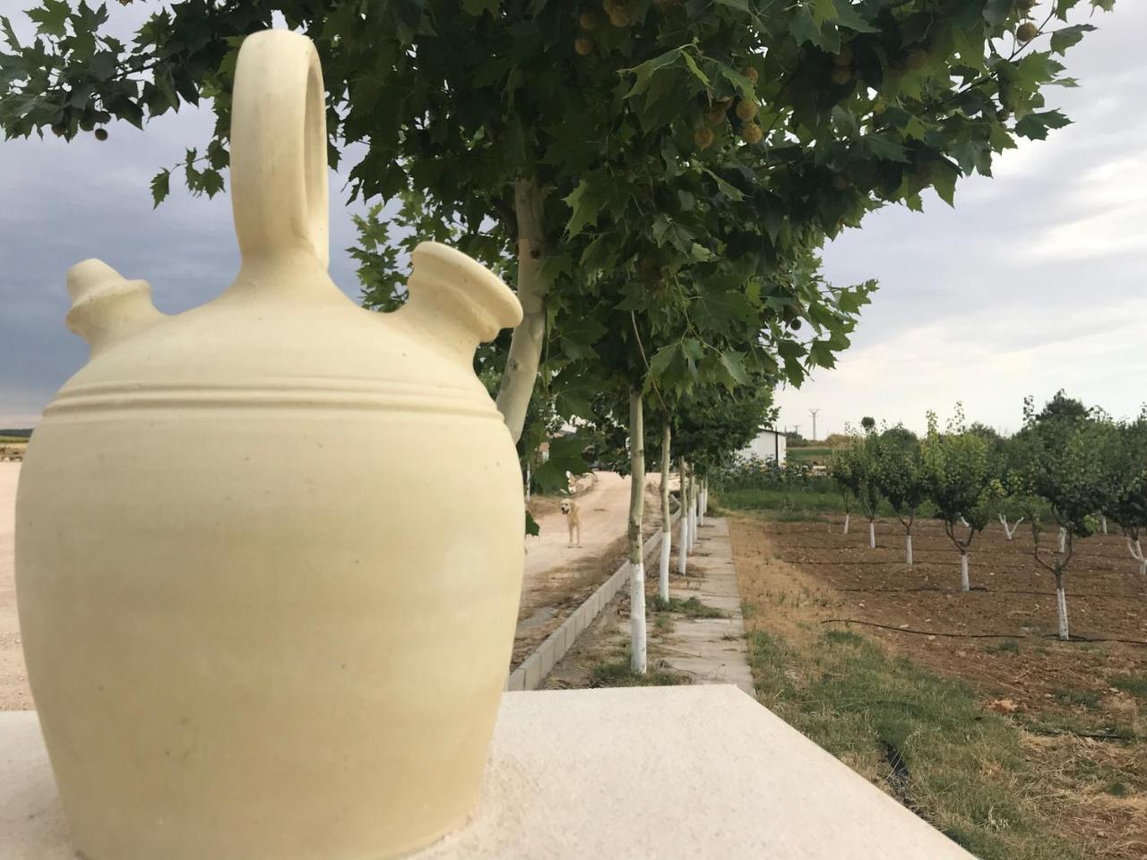 Era 124 Διαμέρισμα Zafra de Záncara Εξωτερικό φωτογραφία